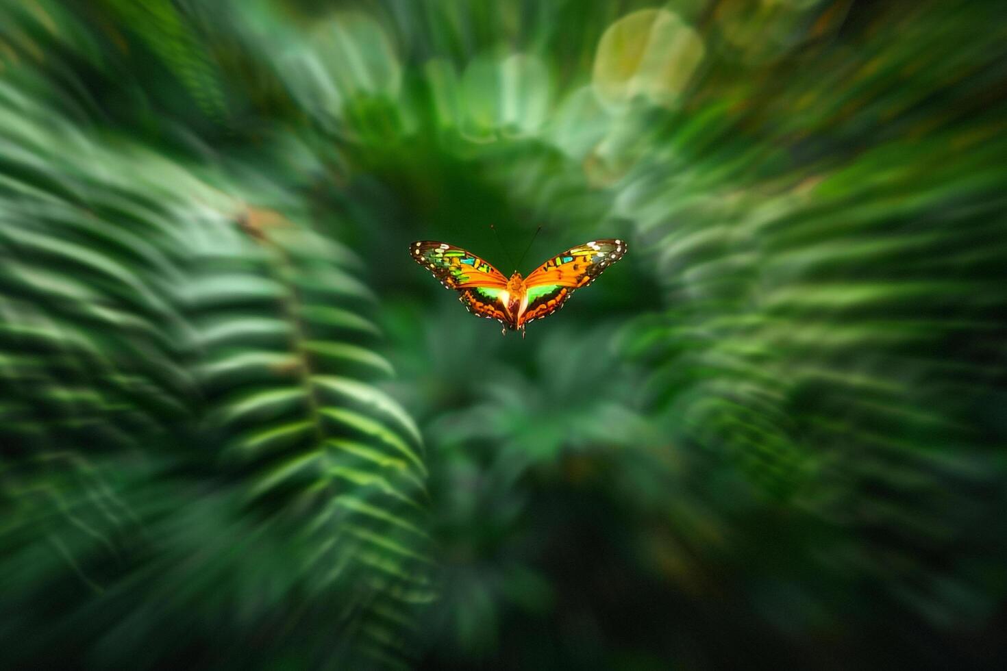 Butterfly Flying in Front of Green Plants Background photo