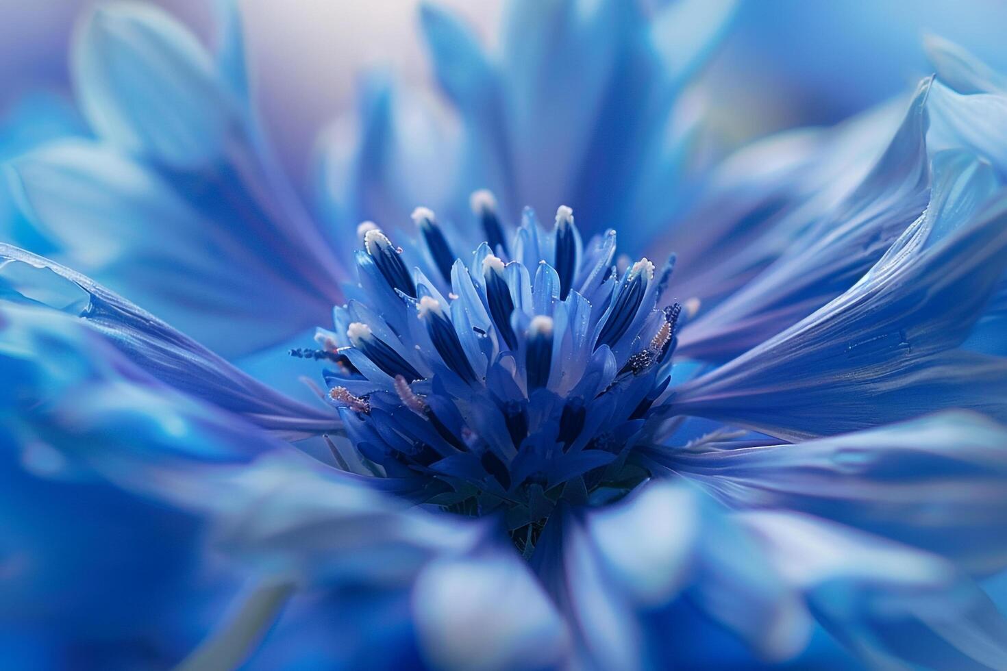 Blue Flower  Background photo