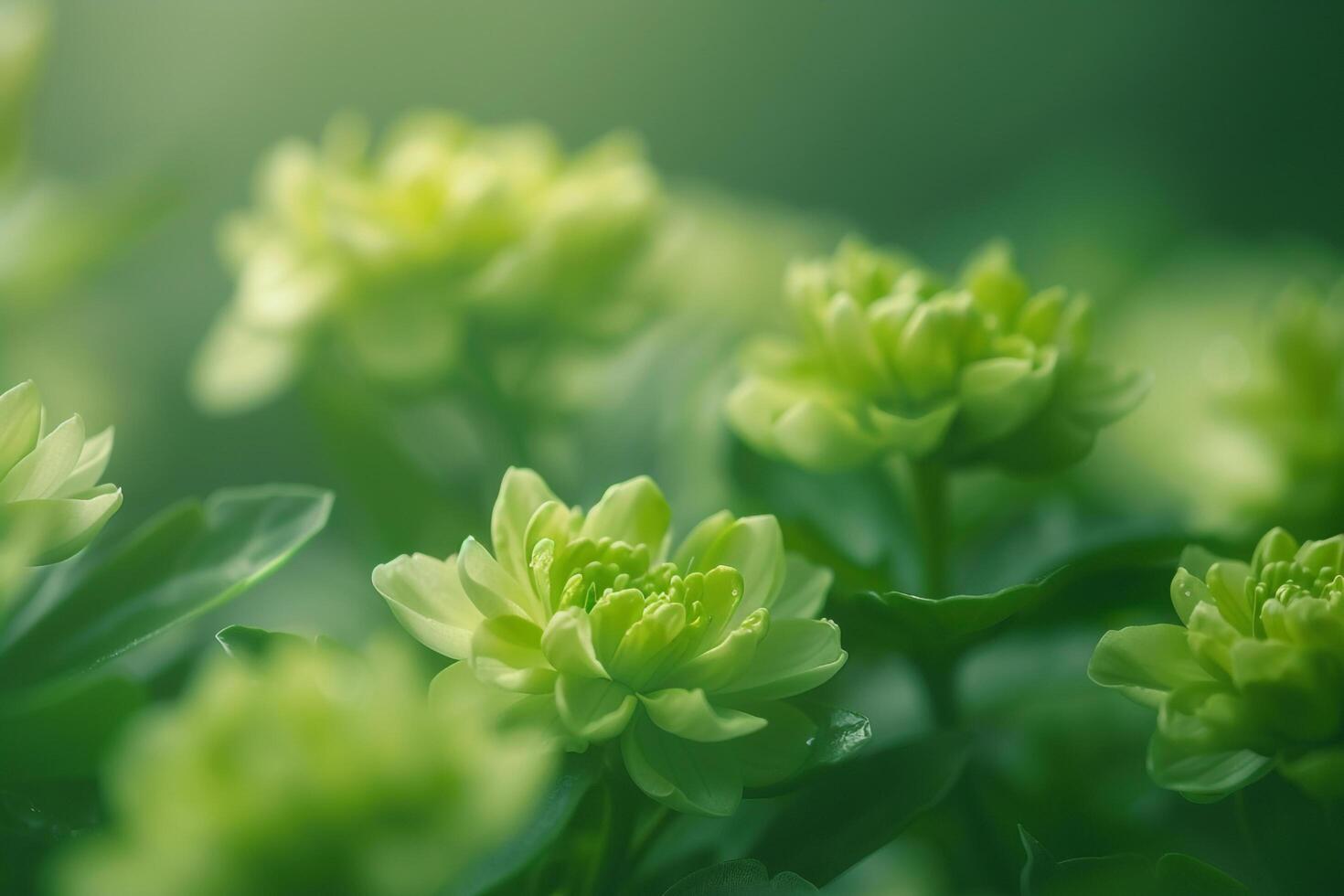 Green flowers with bright green leaves background photo