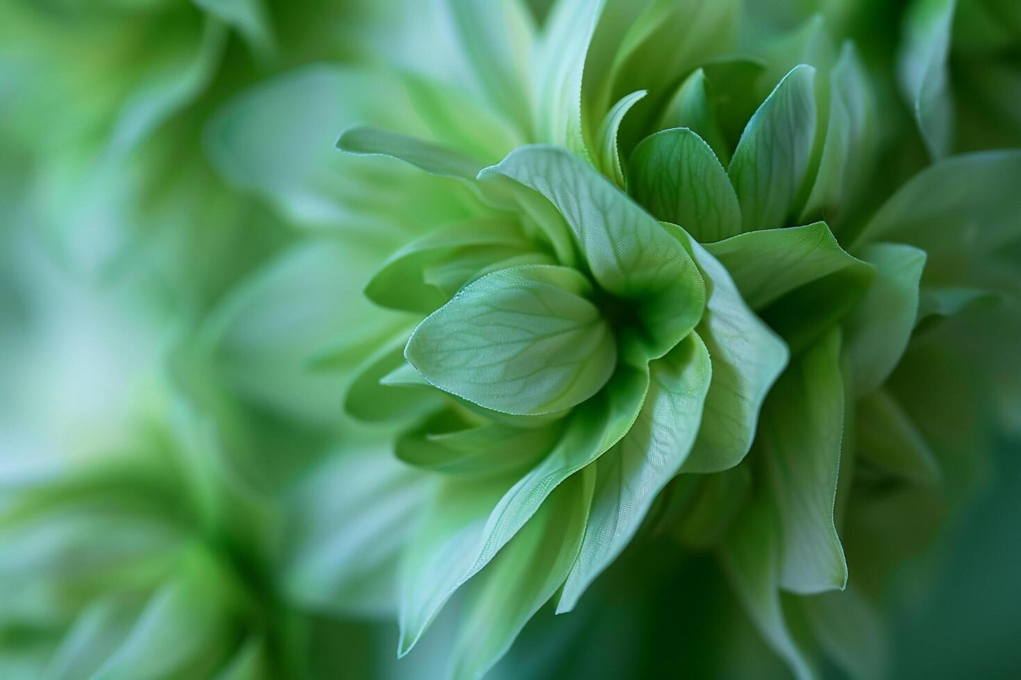 A  of a green flower with yellow petals background photo
