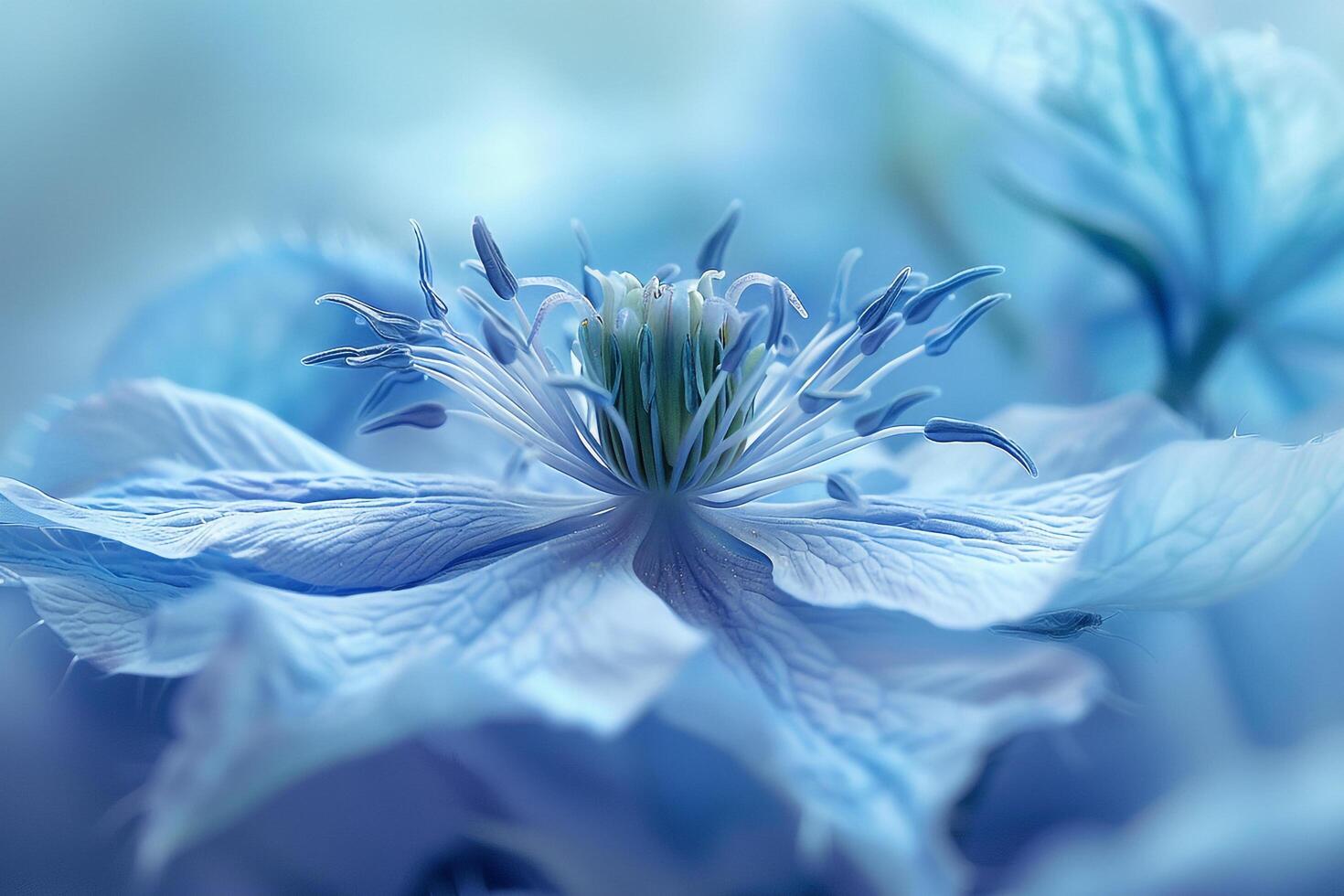 of Blue Flower with Many Petals in Nature Background photo
