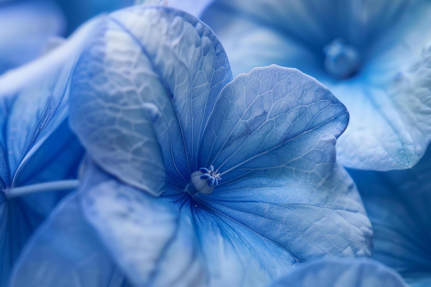 Blue Flower with Water Droplets and Nature Background photo