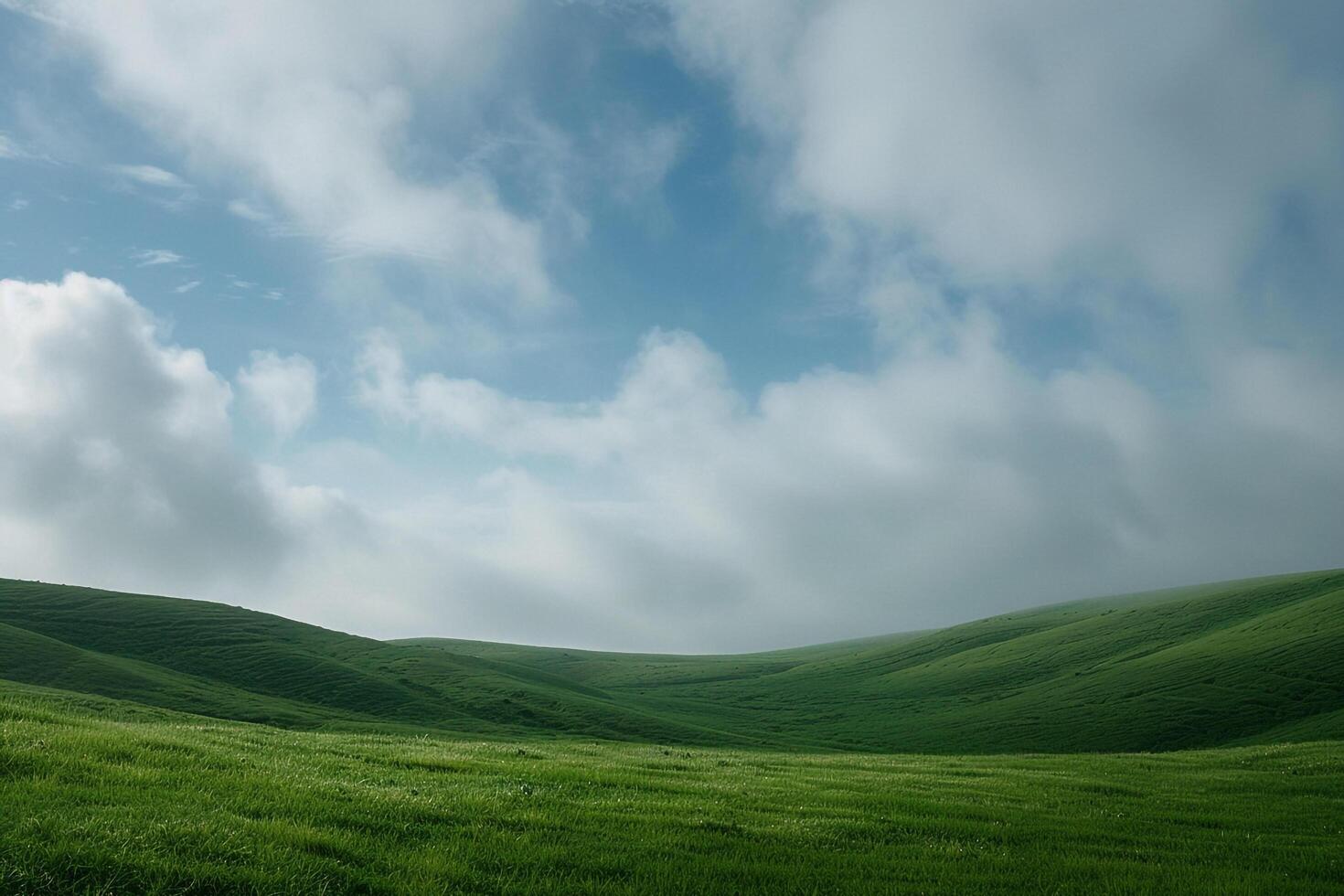 A Grassy Field with Sky and Clouds with Background photo