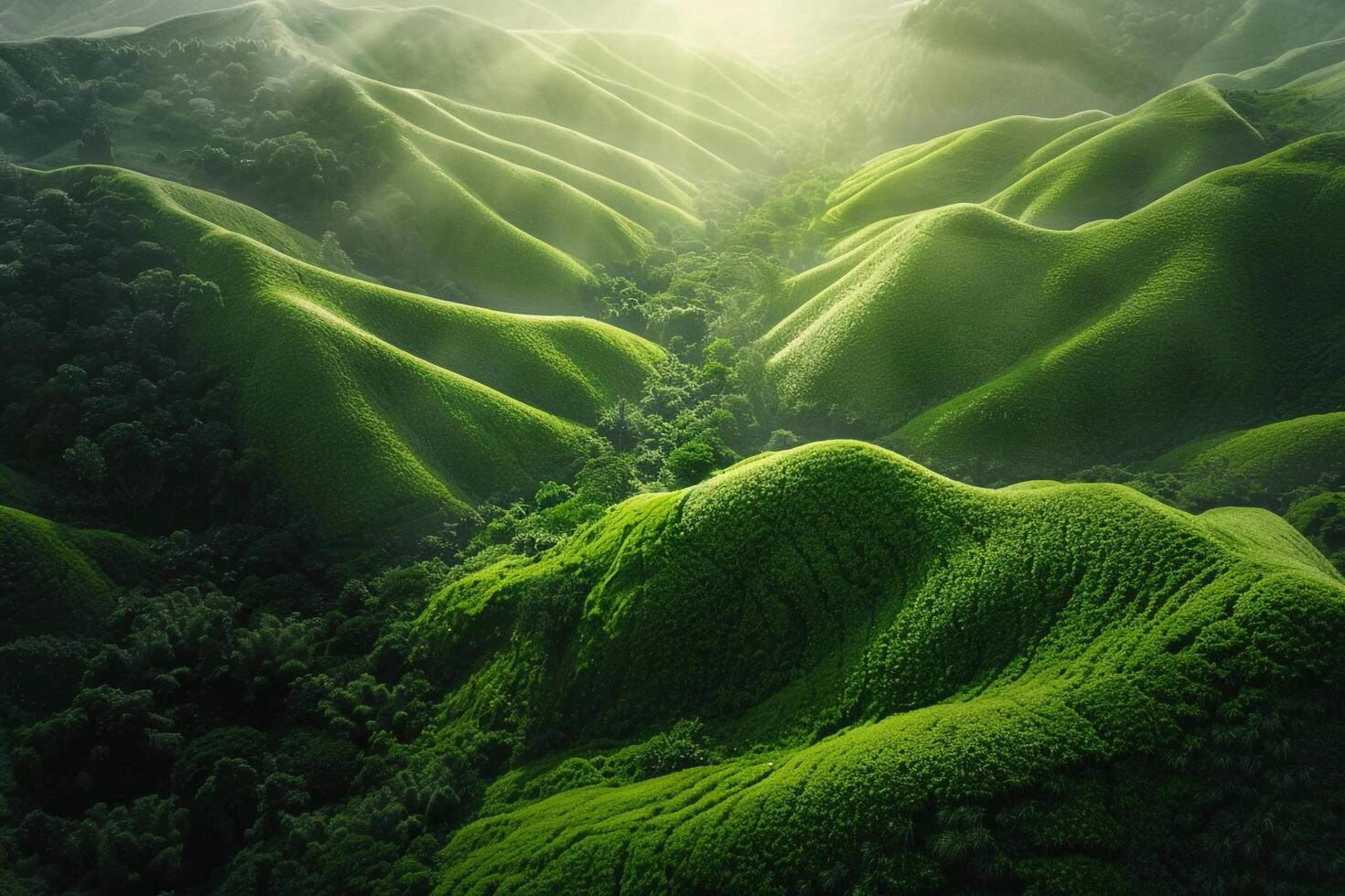 Green Mountain Range with Trees and Fog Background photo