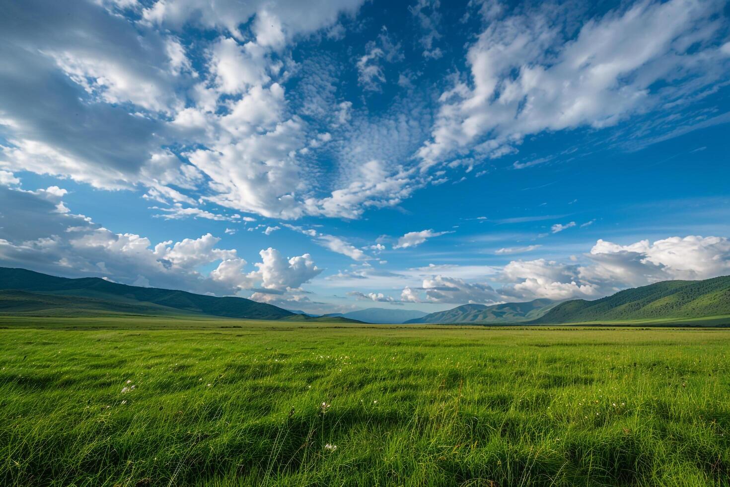 Grassy field with mountains and clouds background photo