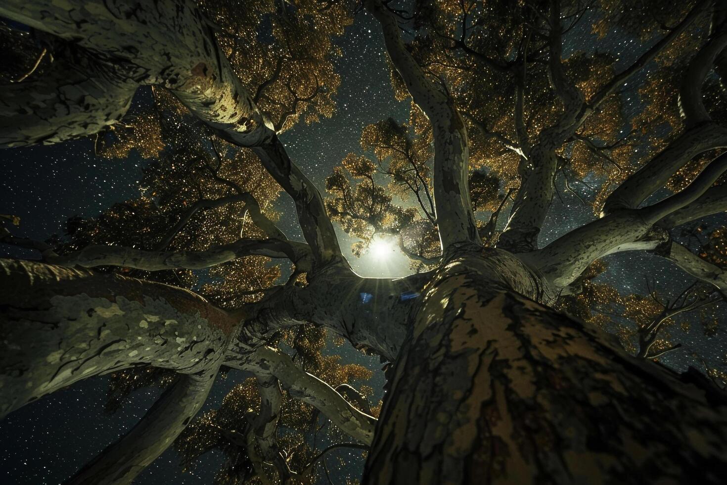 A Tree with a Moon in the Sky Above It Background photo