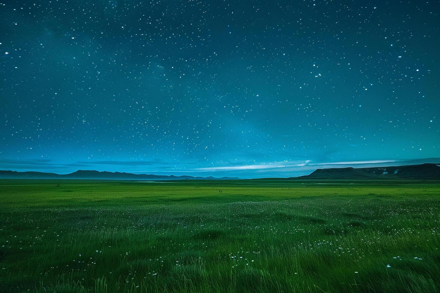 a green field under a starry sky background photo