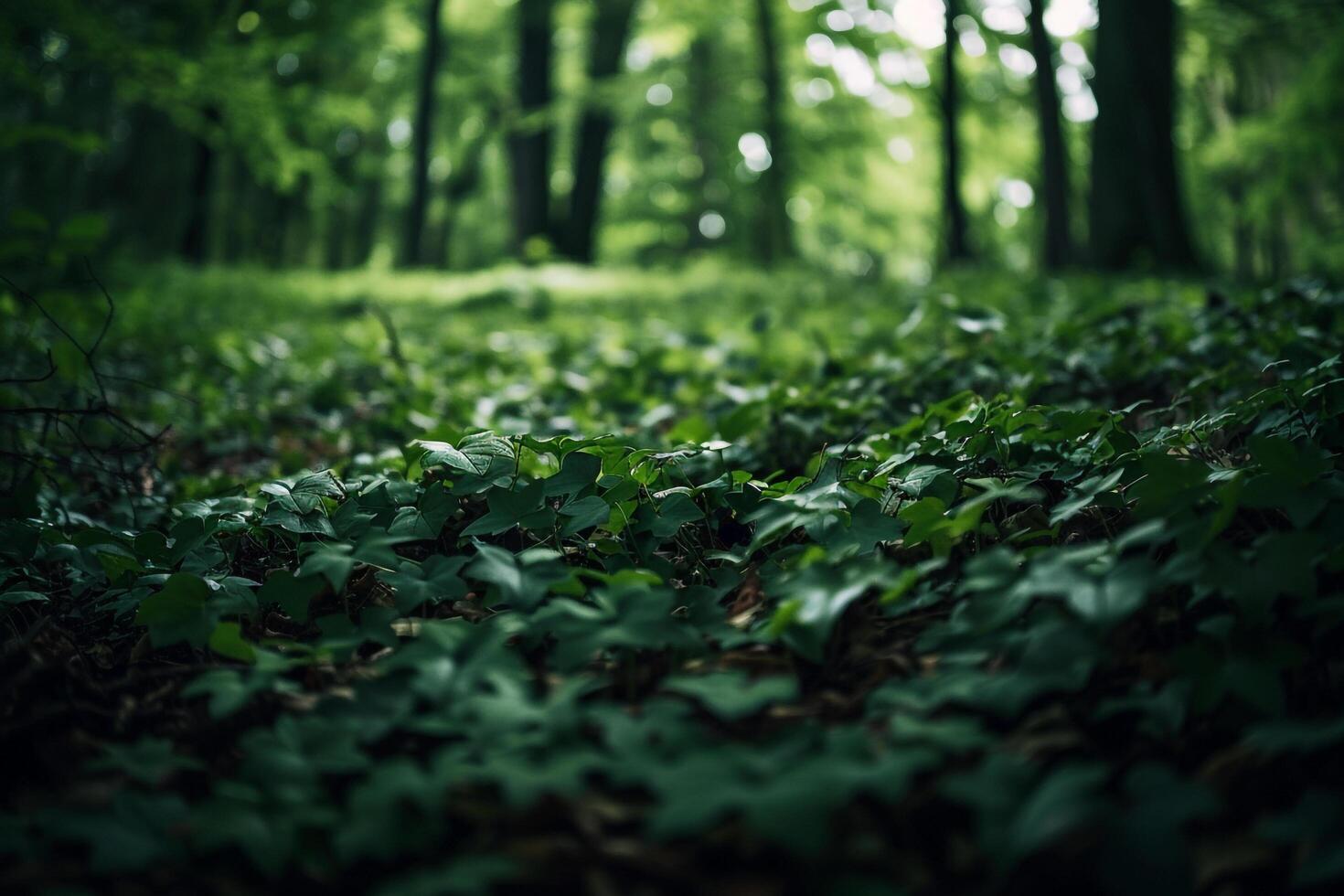 Green Forest with Leaves and Trees Background photo