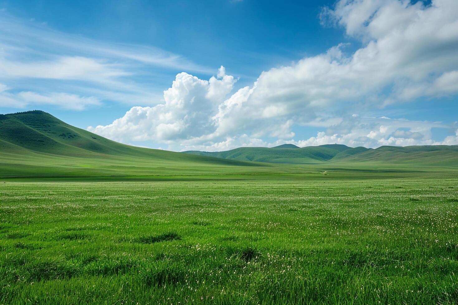 Large Field with Sky and Clouds Background photo