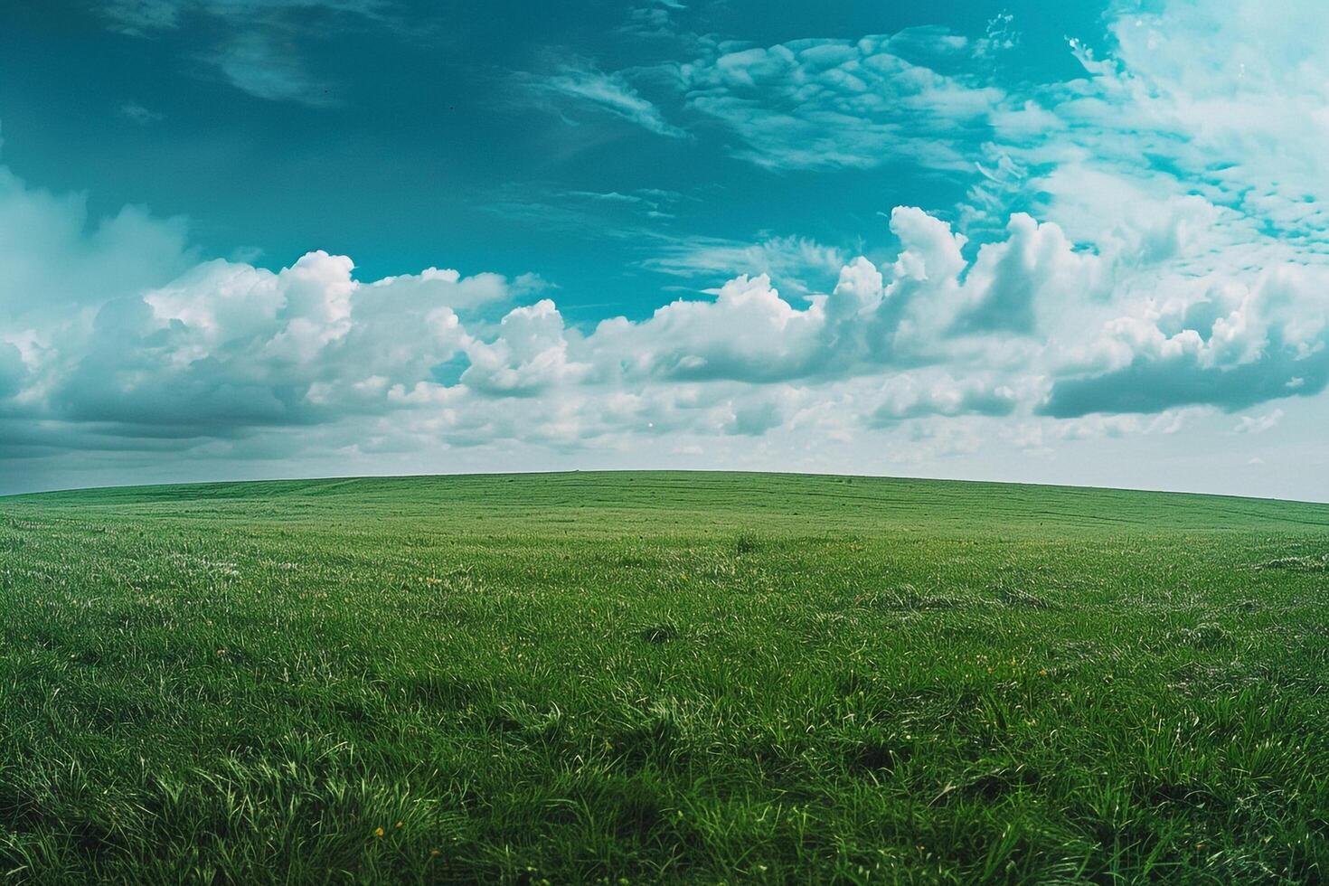 Field with Large Grassy Area and Sky Background photo