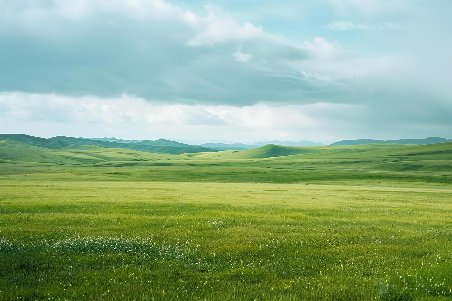 Grassy Field with Hills in the Background photo