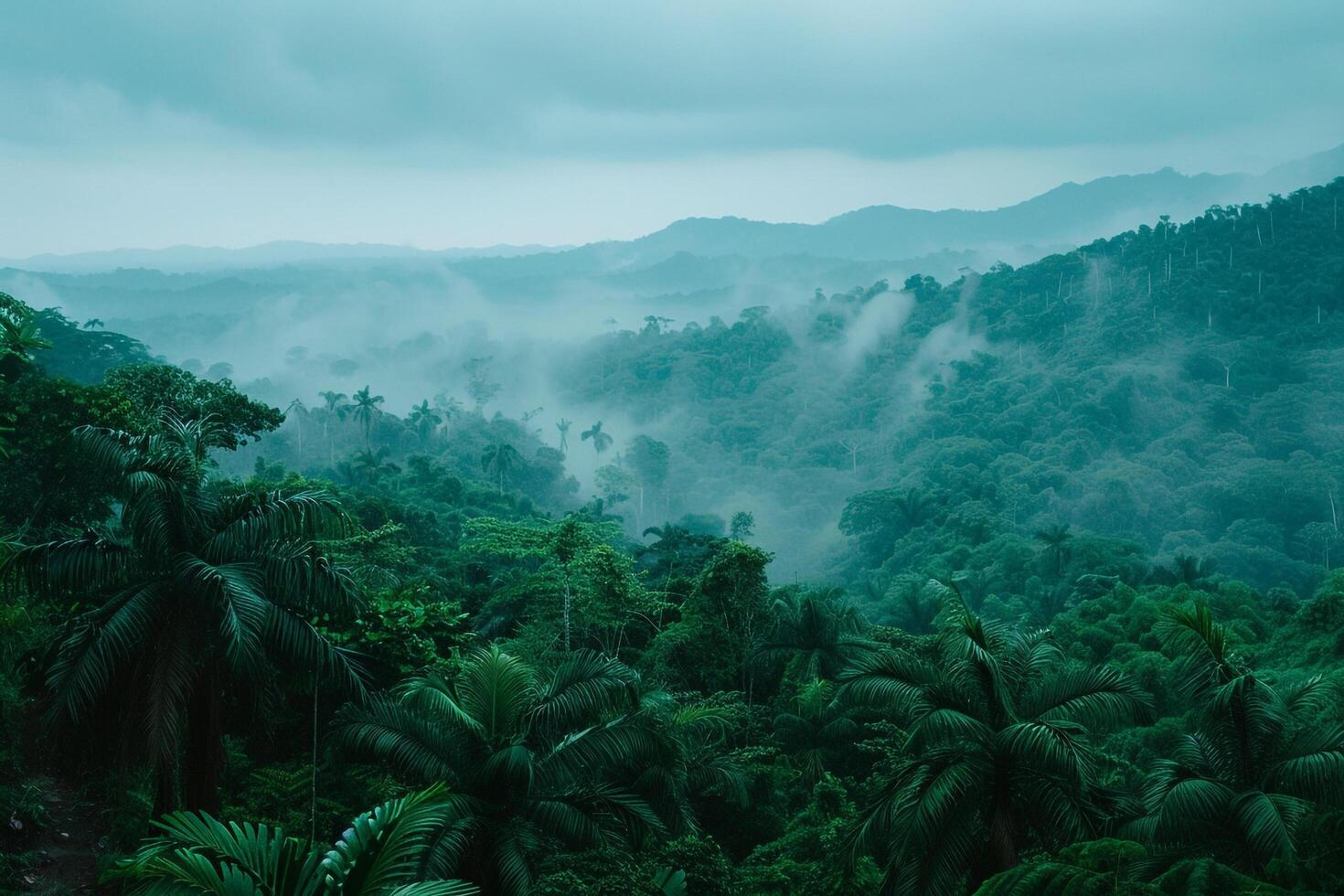 View of Jungle from Hillside Background photo