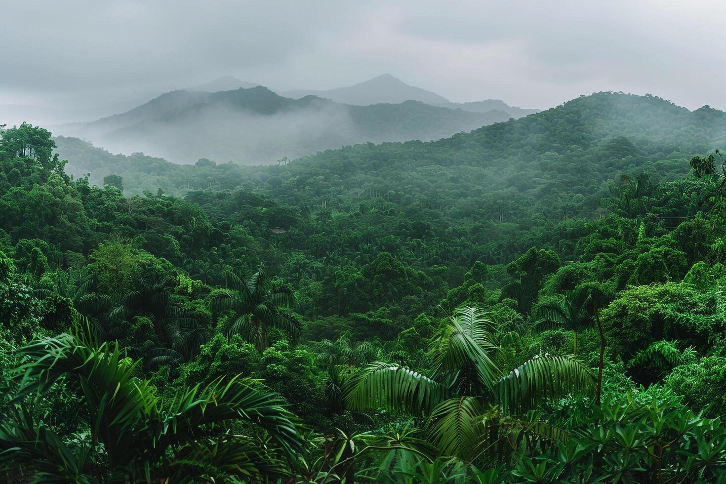 View of Jungle with Mountains in Background photo