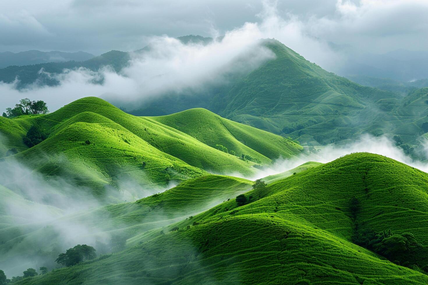 A large green hill background photo