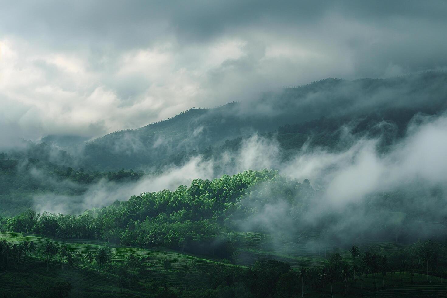 a green valley with trees and clouds background photo