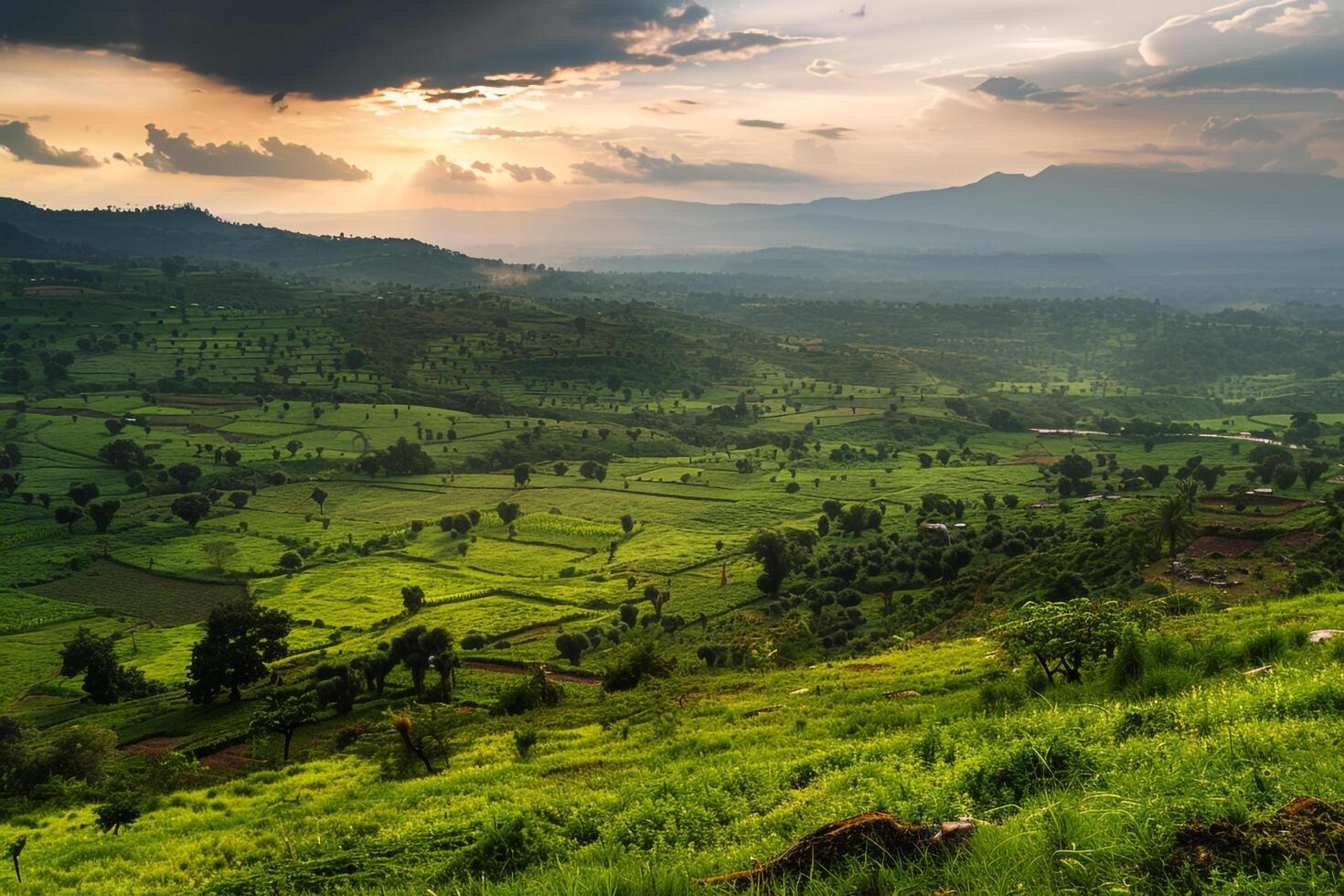 a beautiful view of a green valley and hills background photo