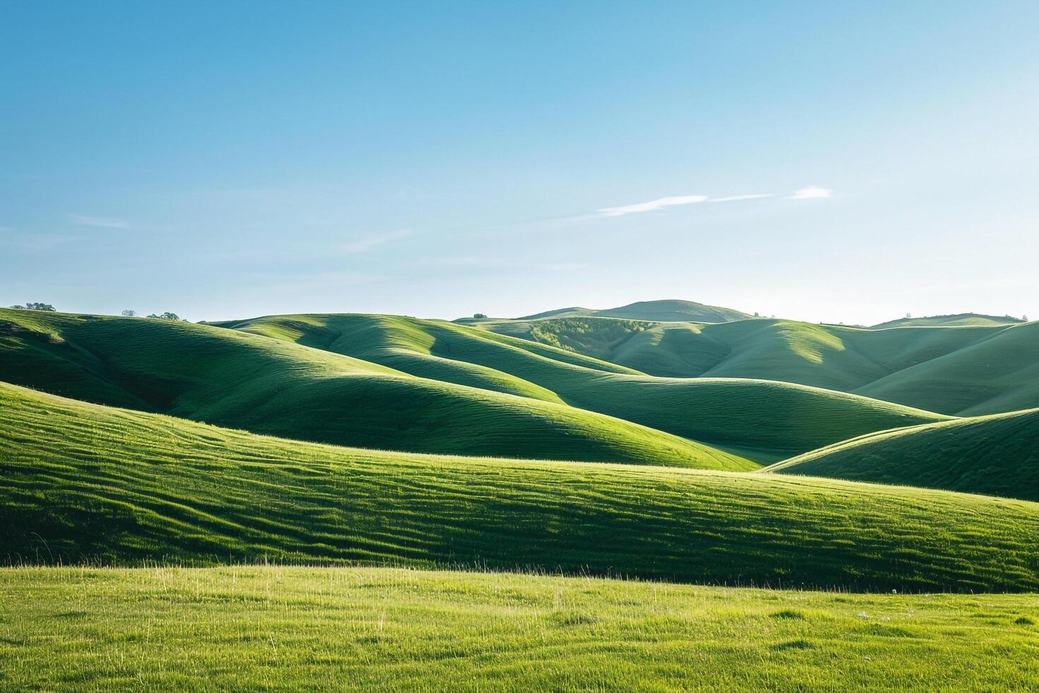 a grassy hill background photo