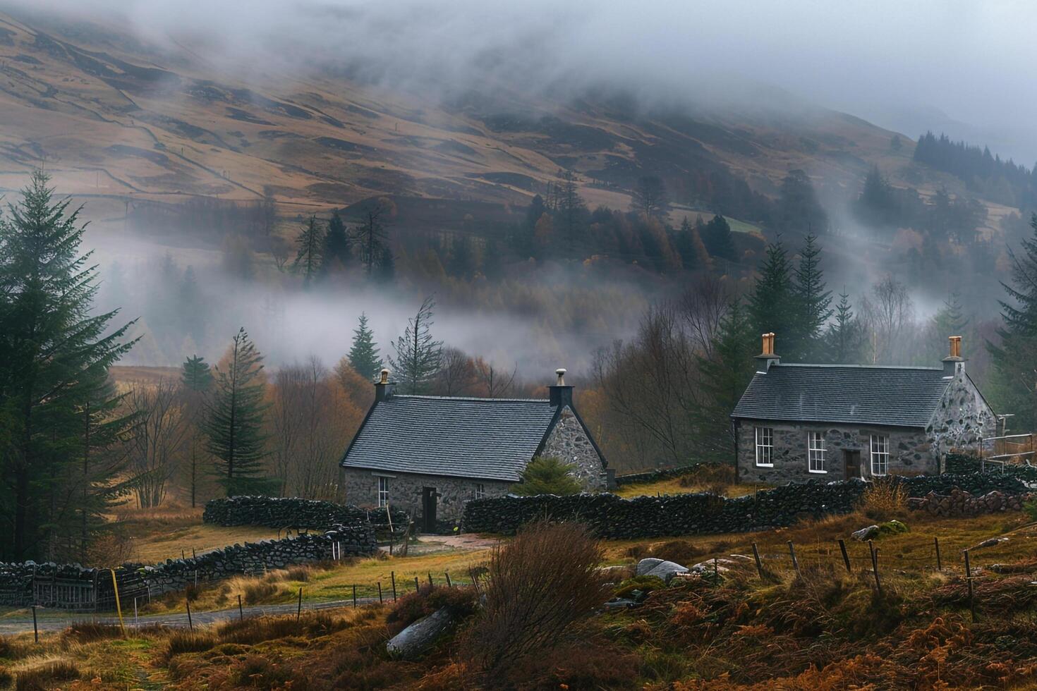 A Misty Morning in the Scottish Highlands, nature background photo
