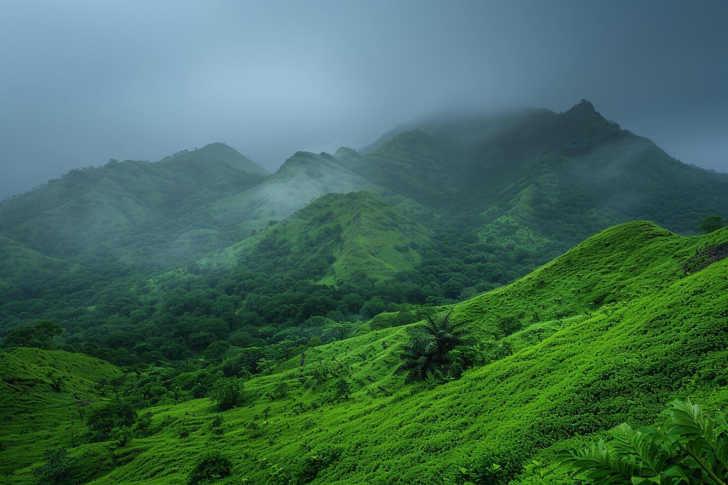 a green mountain range with trees and fog background photo