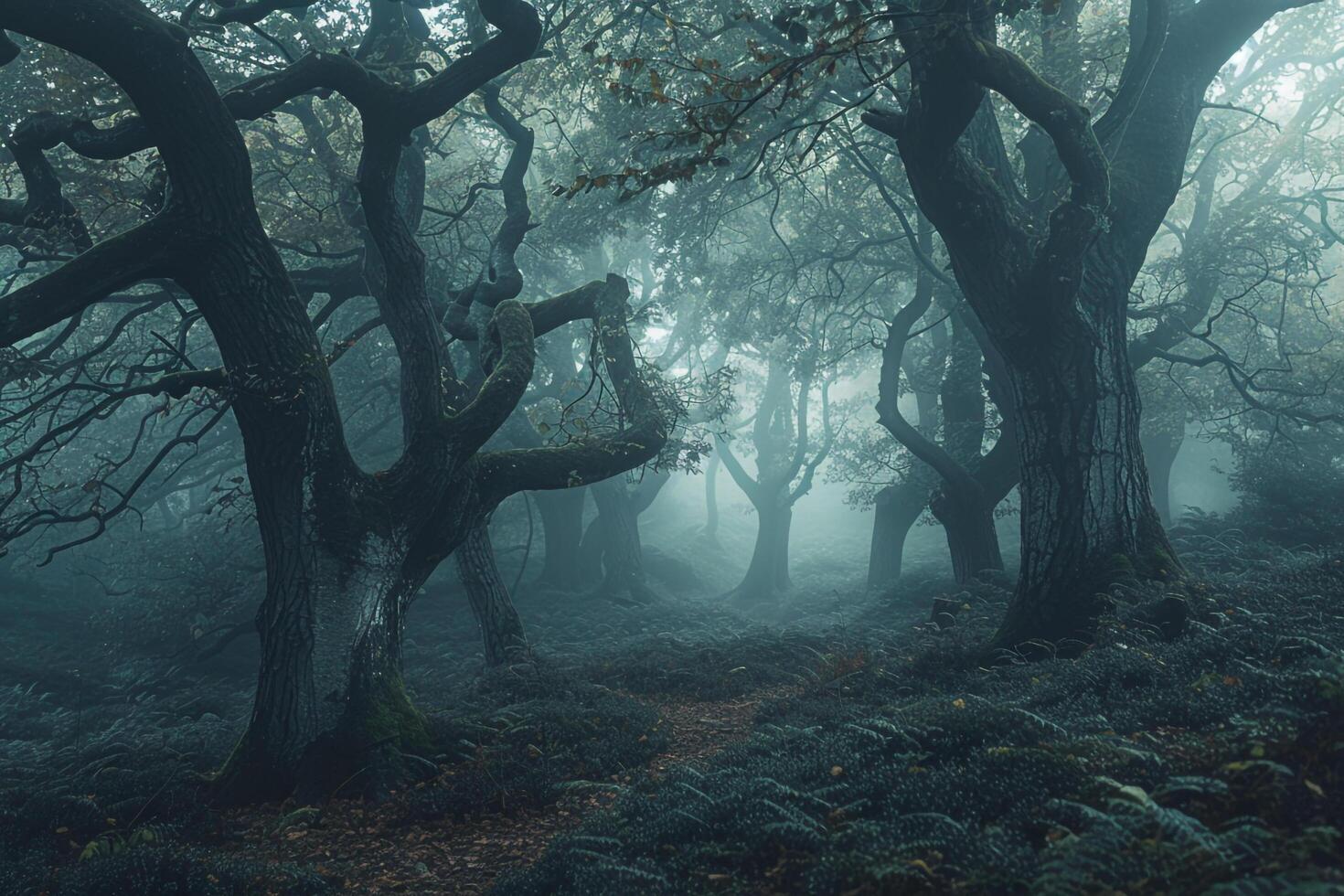 a path through a forest with trees and a bench background photo