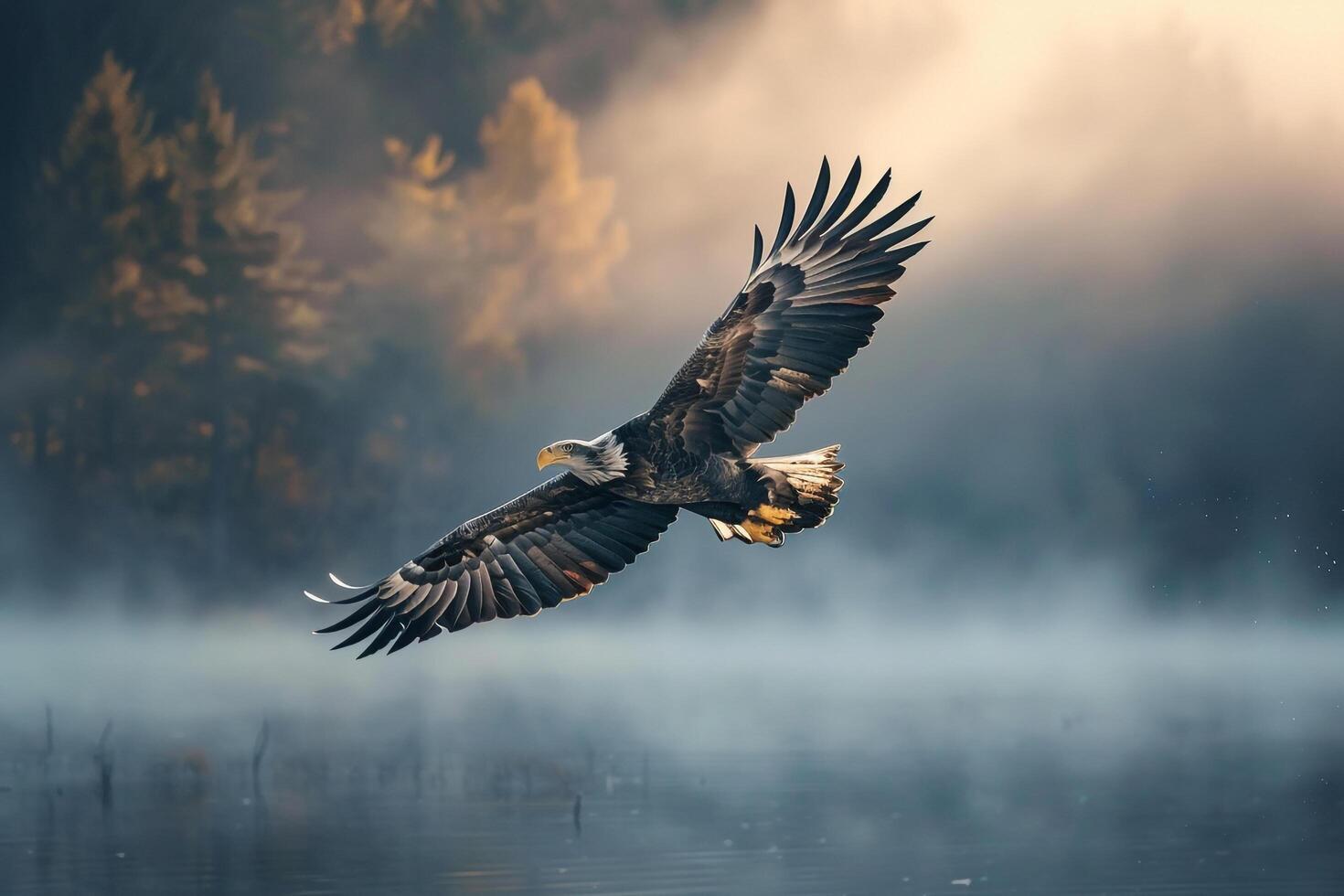 An eagle flies over a lake with misty fog background photo