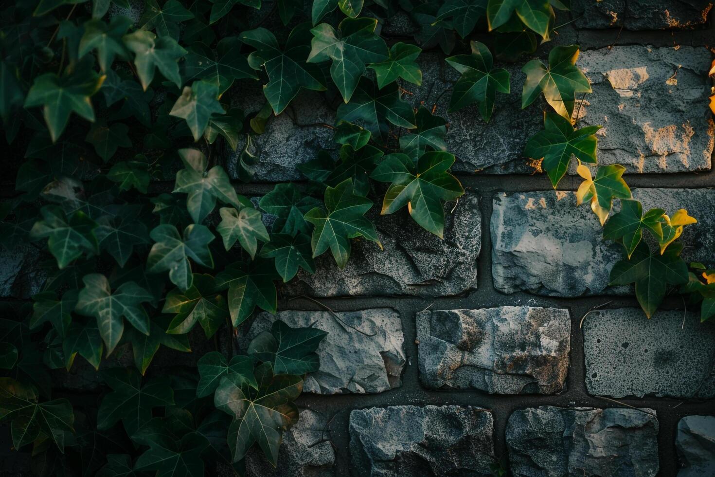 A stone wall with ivy growing on it background photo