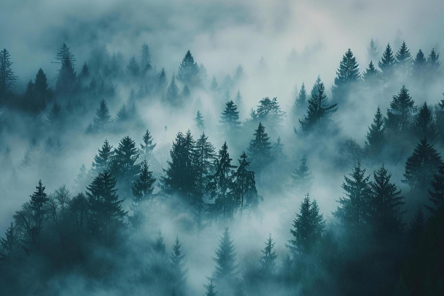 Foggy forest with trees in the background photo