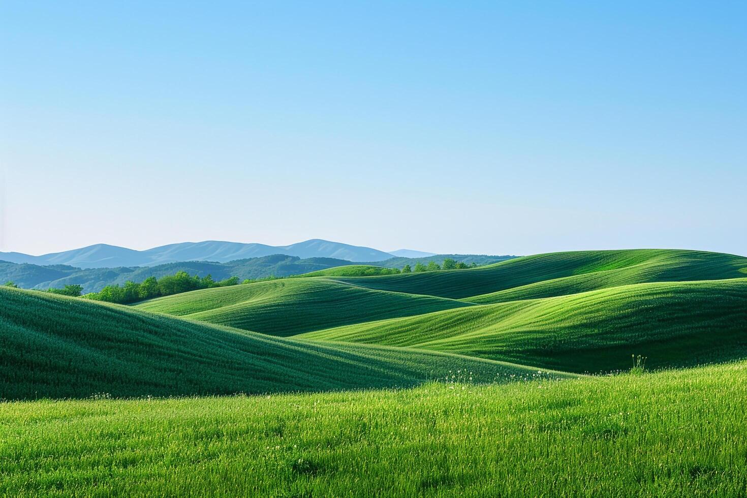 a green field with hills in the background photo