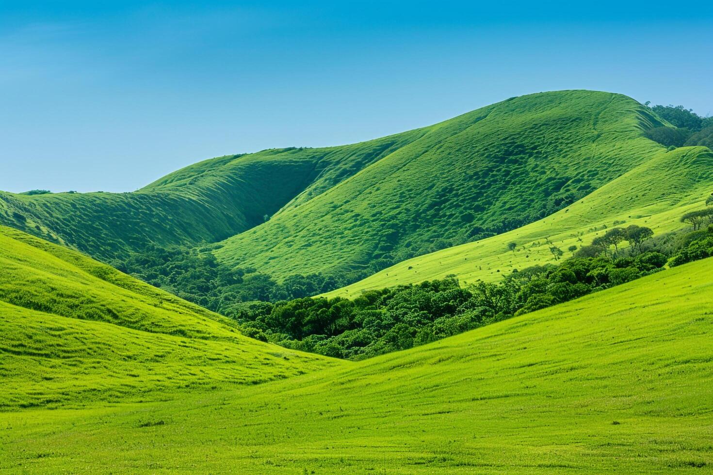 a green hill with a blue sky and a green grassy field background photo