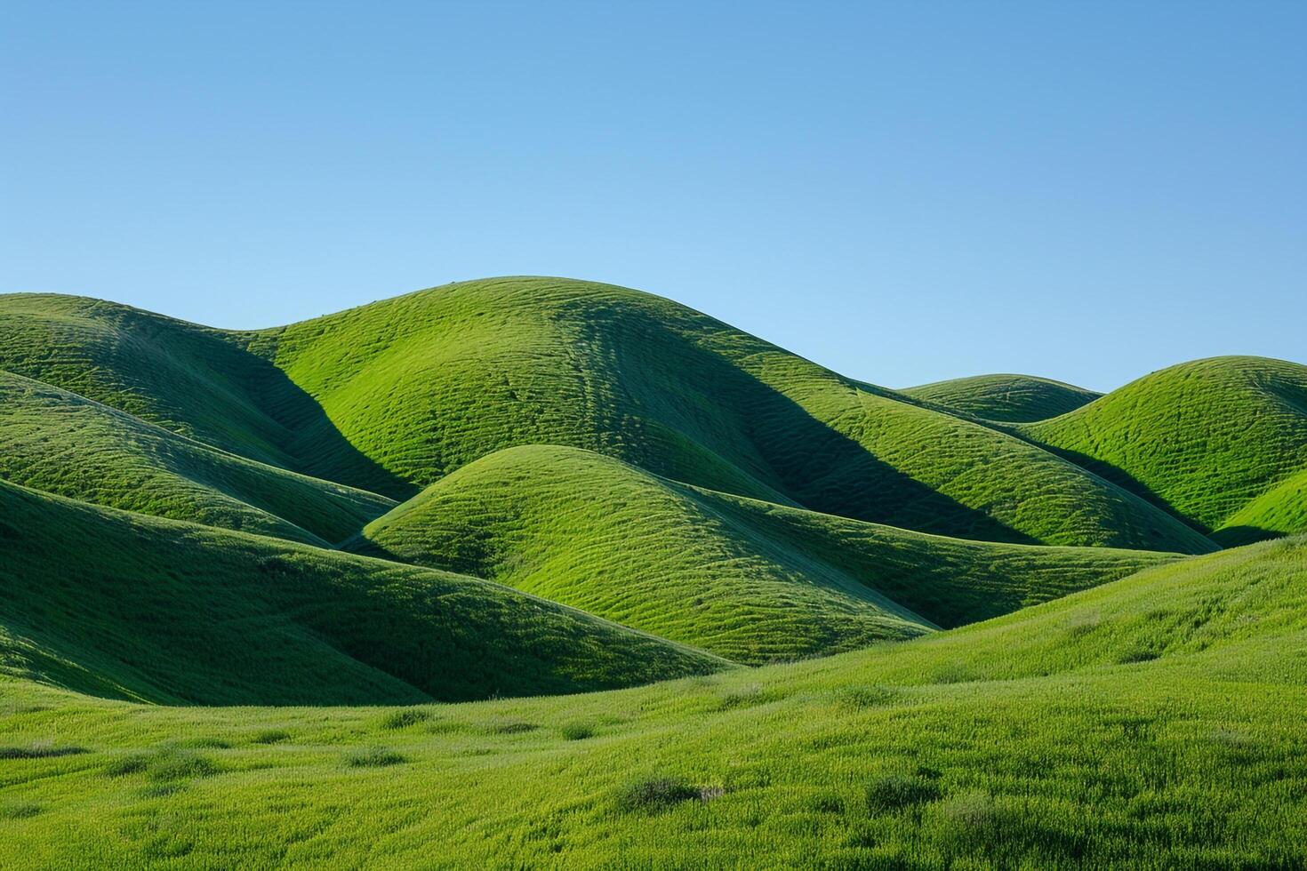 a grassy hill with a blue sky background photo