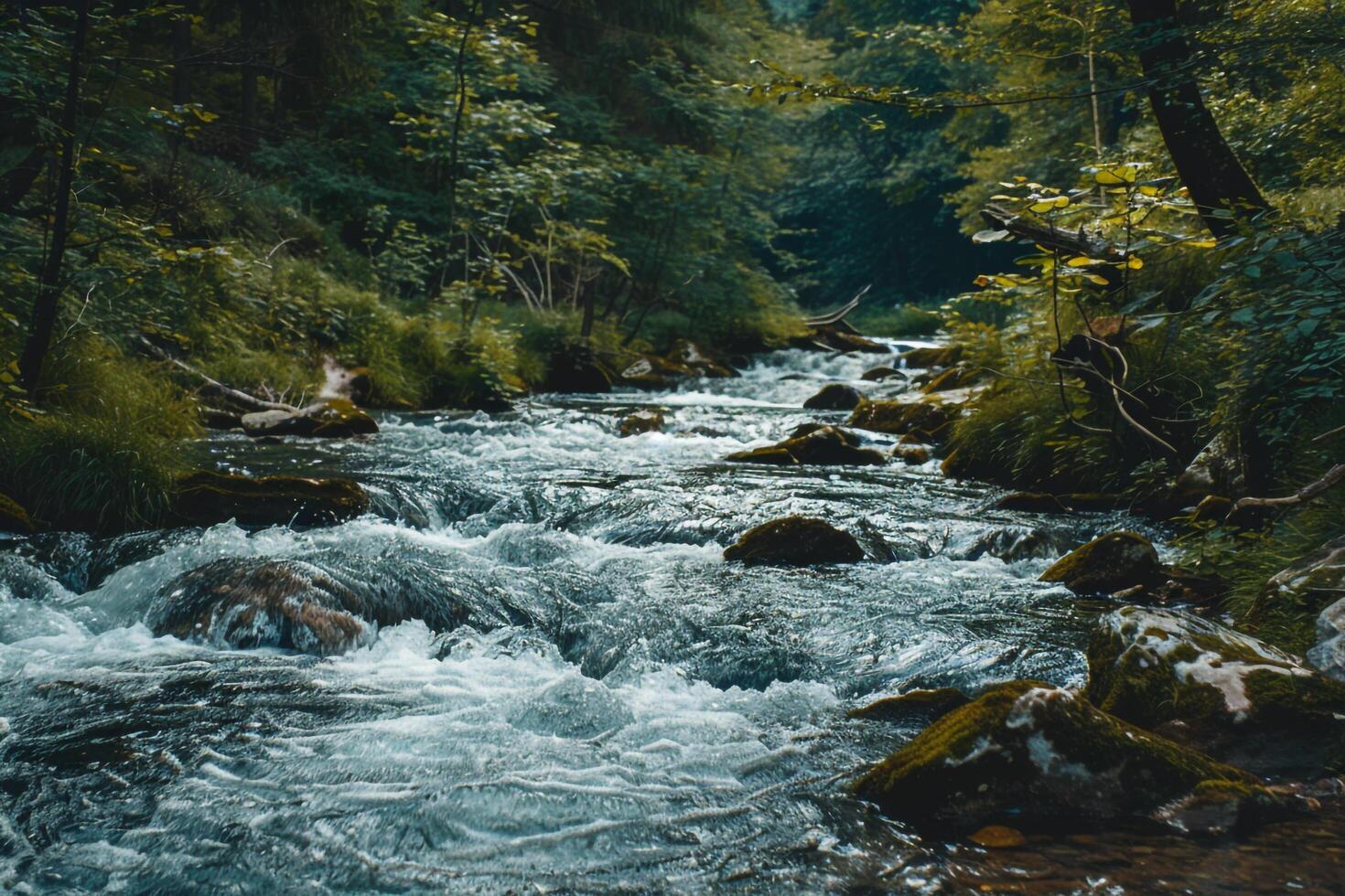a river flowing through a forest background photo