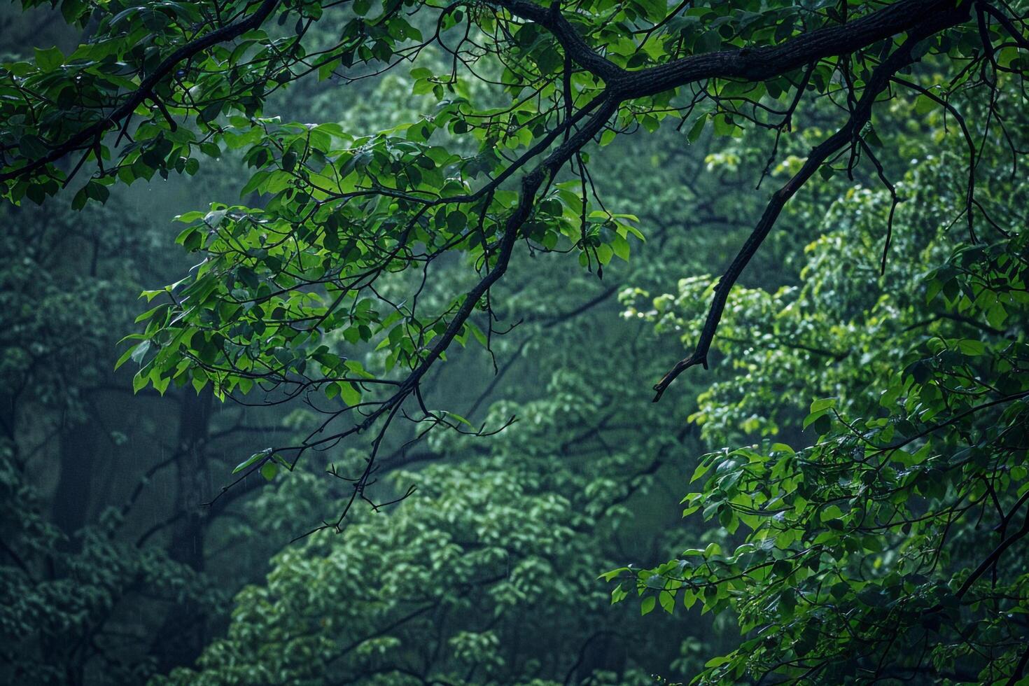 a green forest with trees and a foggy sky background photo