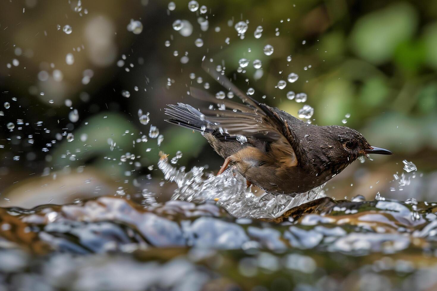 a bird is splashing water from its beak background photo