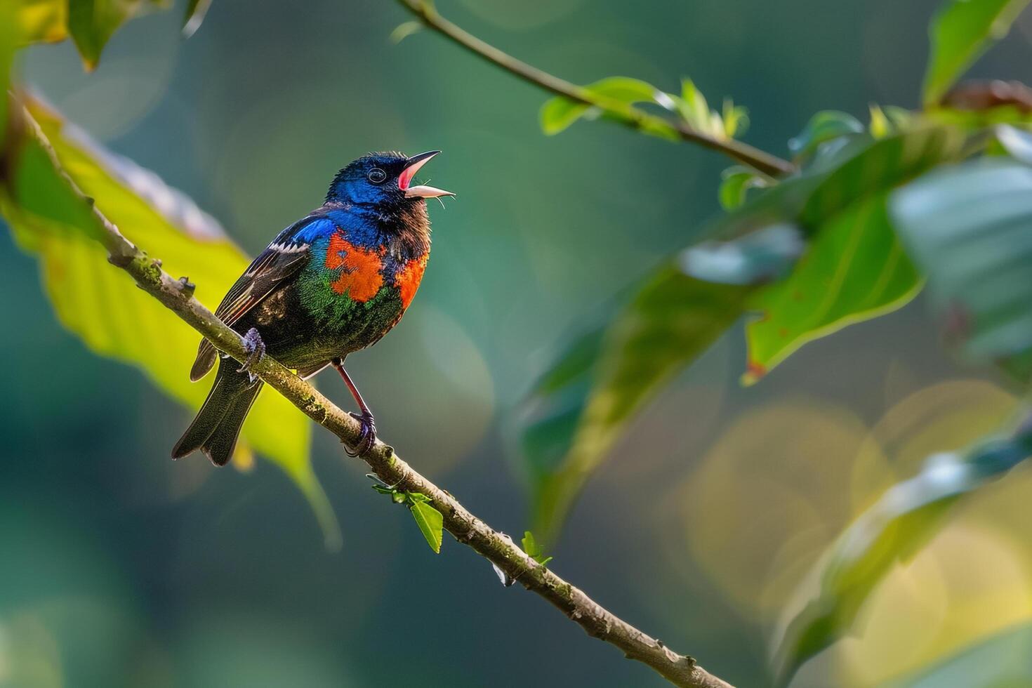 a colorful bird is perched on a branch background photo