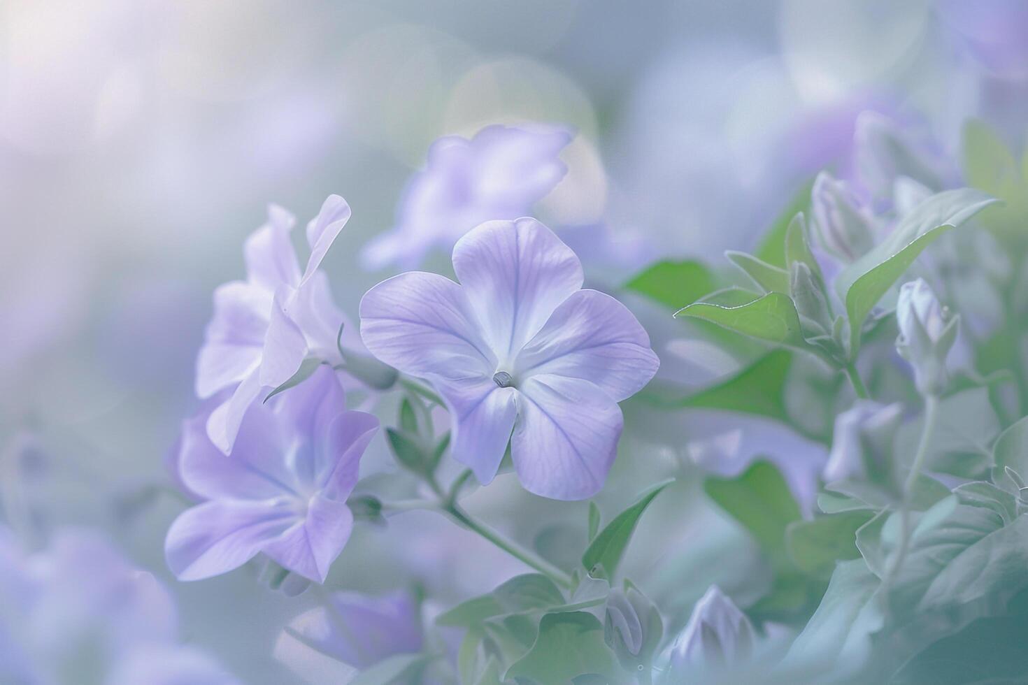 purple flowers are in a field with a blurry background photo