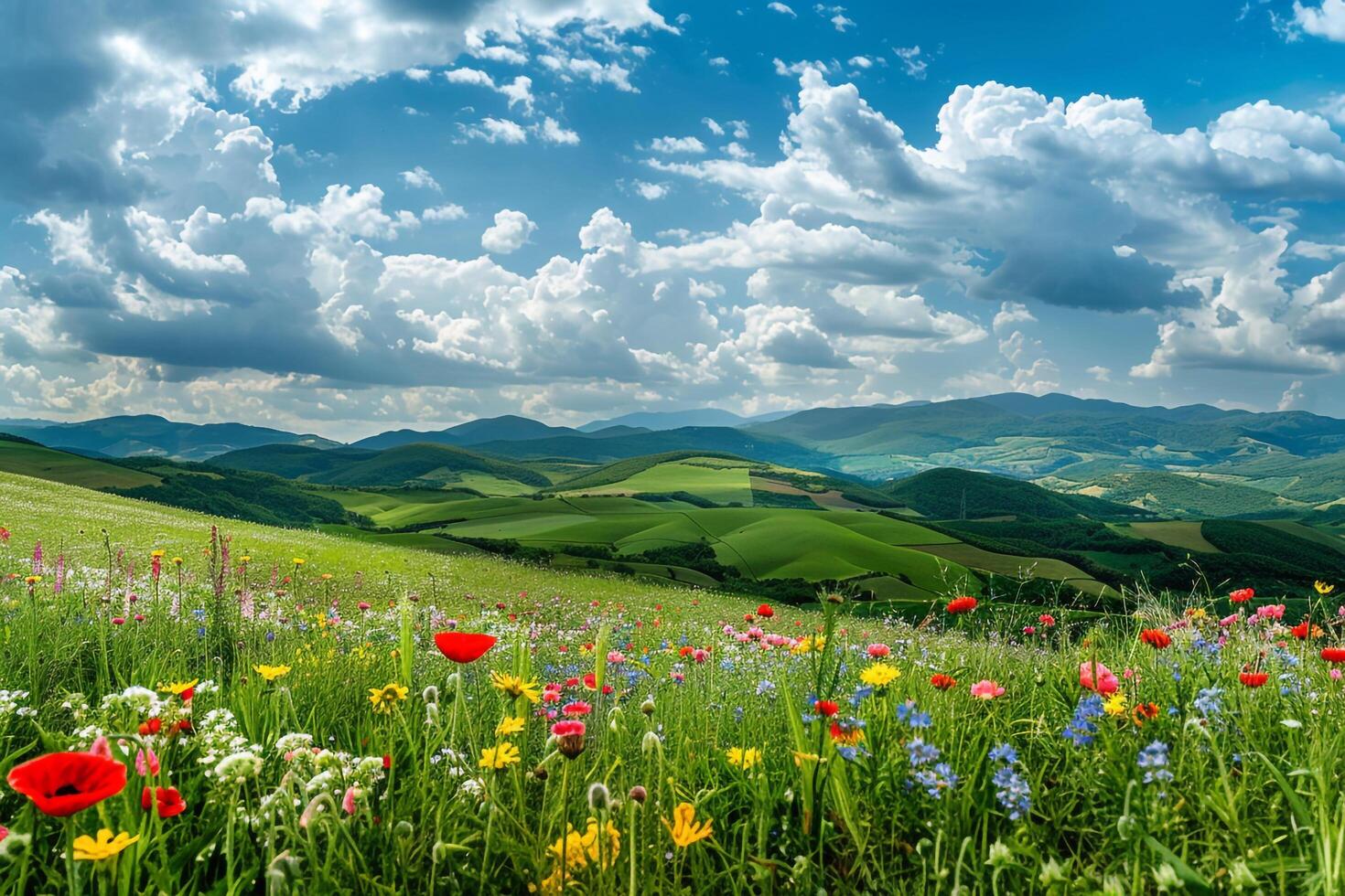 A beautiful field of wildflowers and mountains background photo
