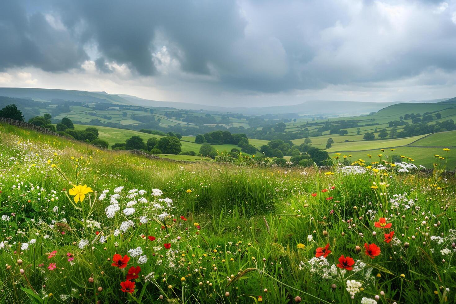A field of wildflowers background photo