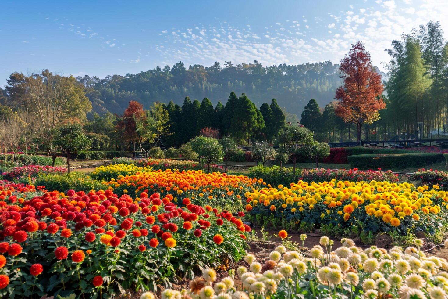A field of flowers background photo