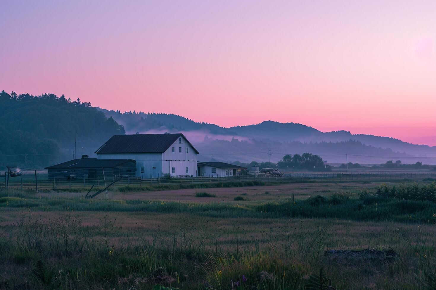 A small house sitting in a field with a sunset in the background photo