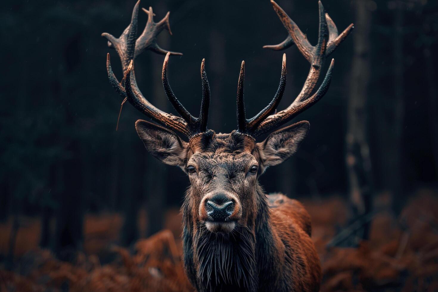 a deer with large antlers background photo