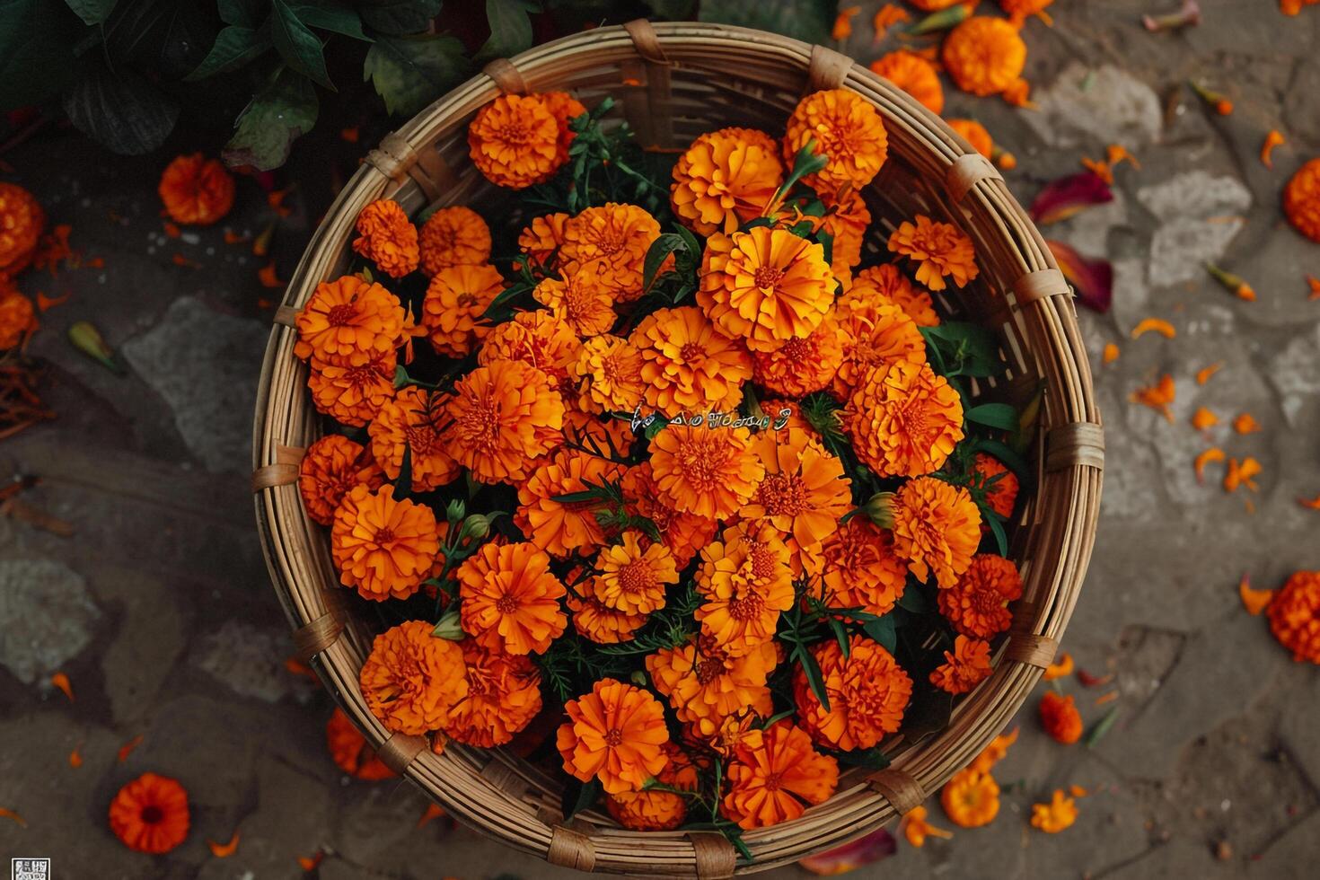 a basket filled with orange flowers on the ground background photo