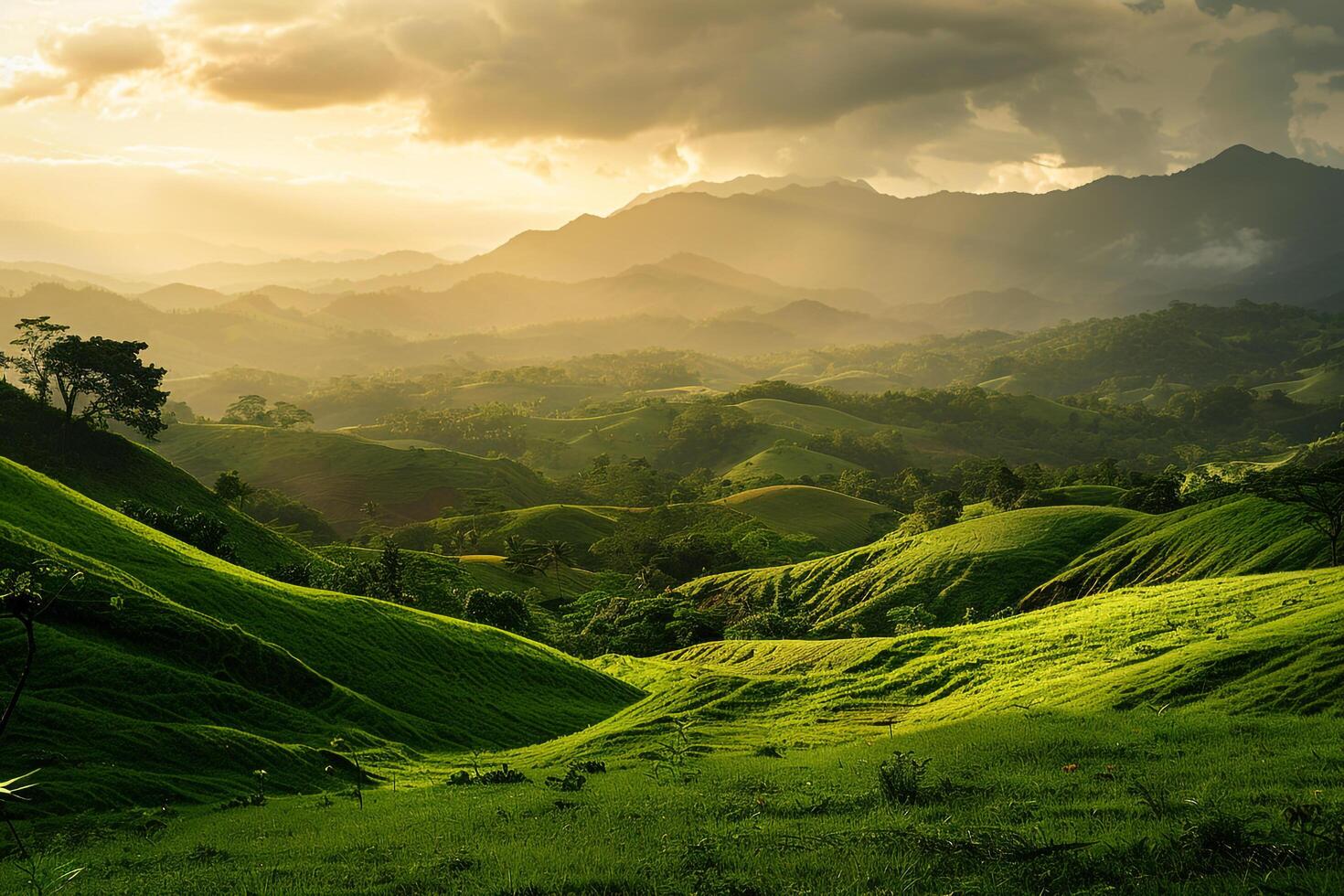 a field of green grass background photo