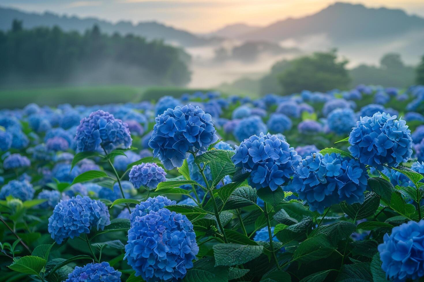 blue flowers in a field at sunrise background photo