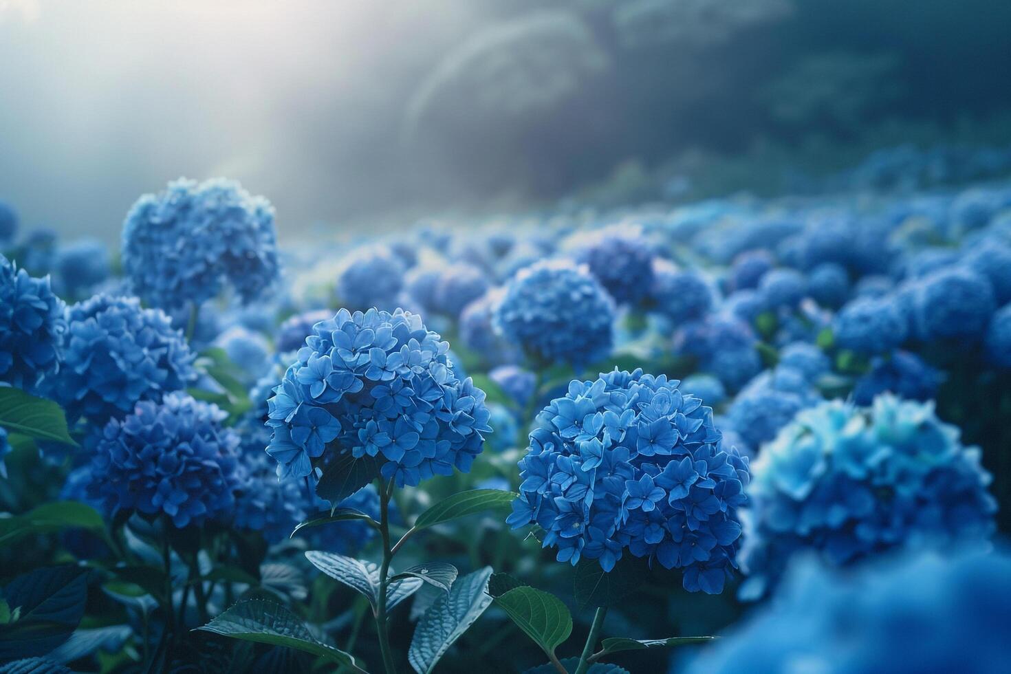 blue flowers in a field with sunlight shining through background photo