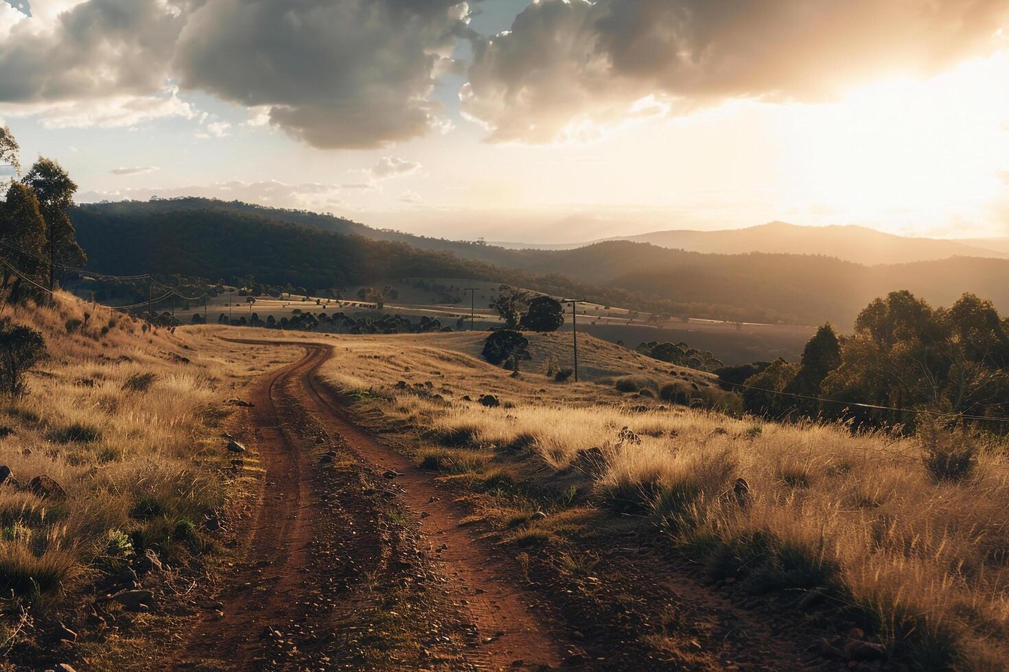 a dirt road in the middle of a grassy field background photo