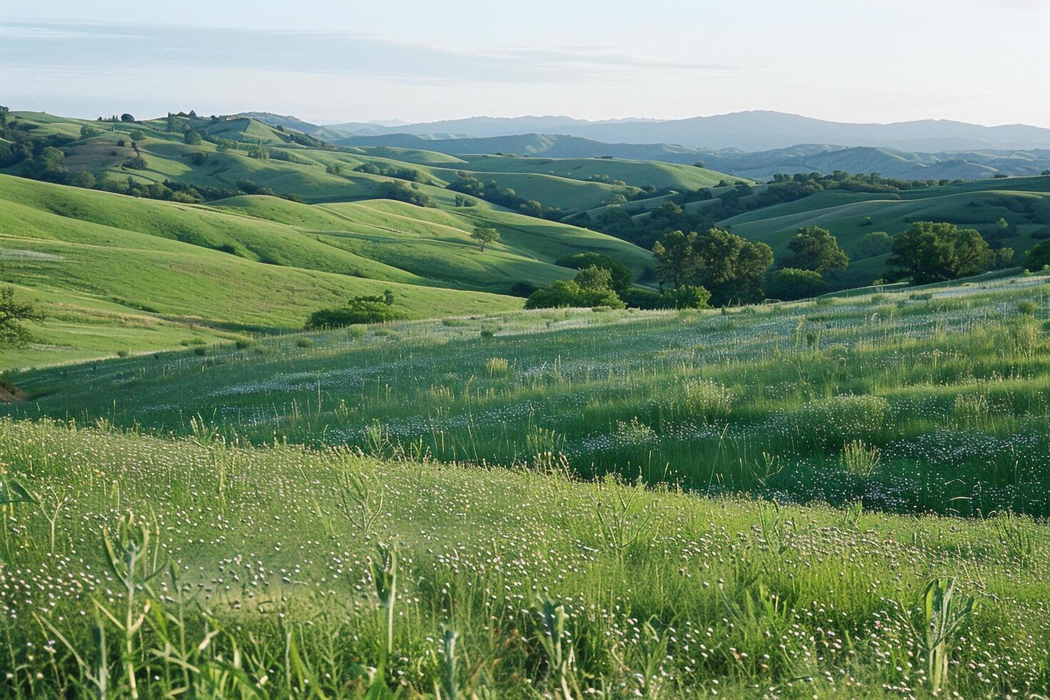 a field of green grass background photo