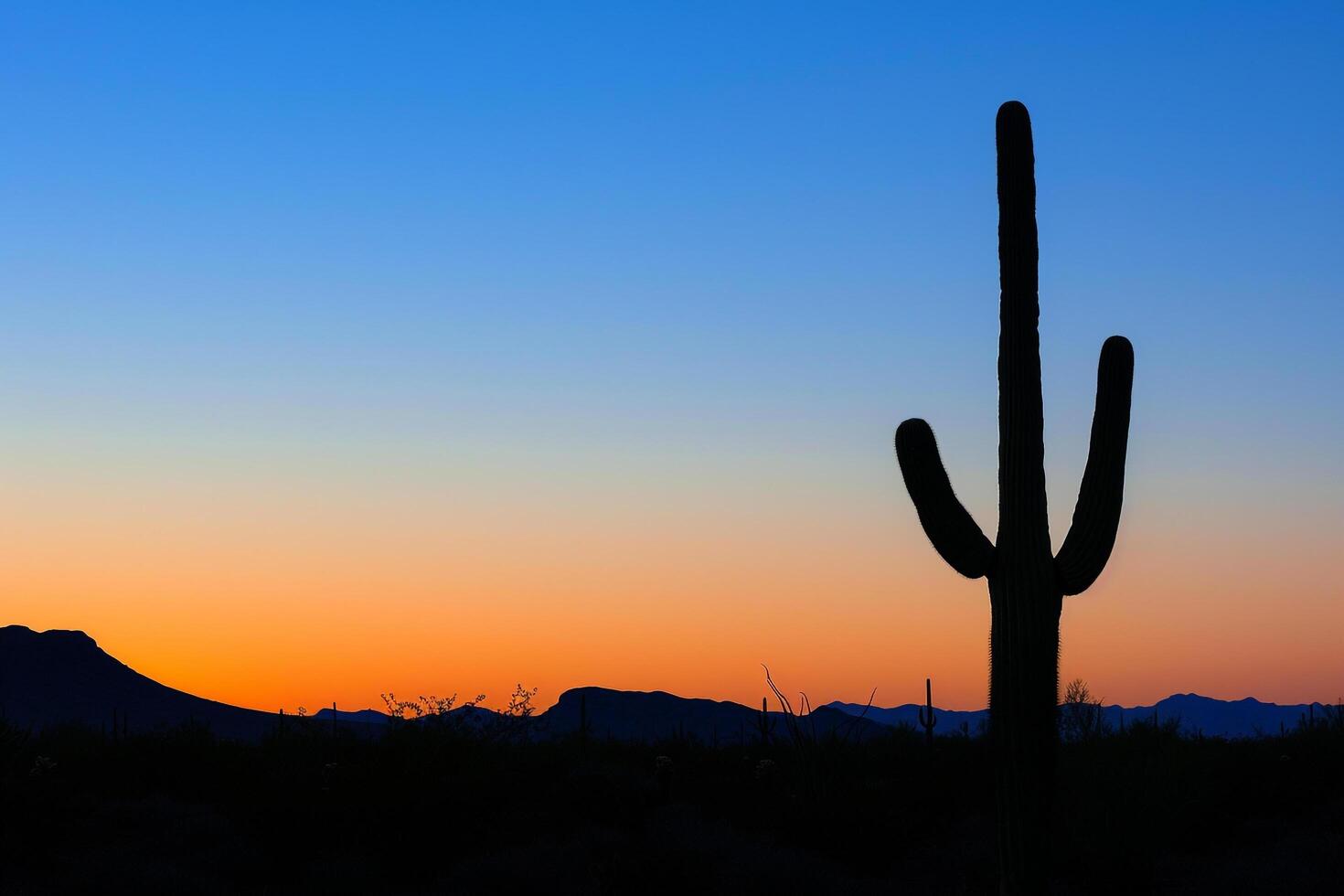 A Saguaro Cactus Stands in the Desert at Sunset with a Scenic Background photo