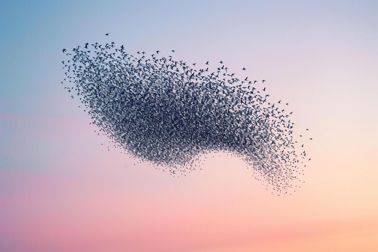 Flock of Birds Flying in the Sky Background photo