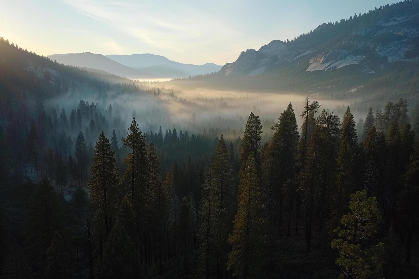 a view of the mountains and trees with fog in the morning background photo