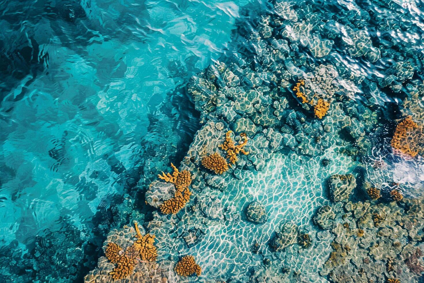 an aerial view of the ocean and coral reefs background photo